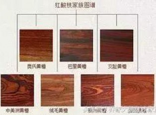关于红酸枝，你不知道的事……