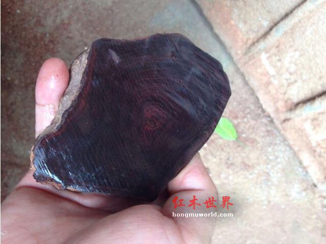 走出鉴别“海南黄花梨”的几点误区！-3