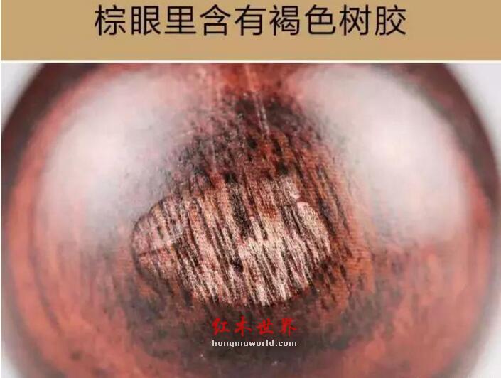 教你鉴别海南和紫檀柳的小技巧-8