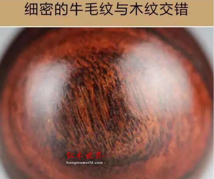 教你鉴别海南和紫檀柳的小技巧-9
