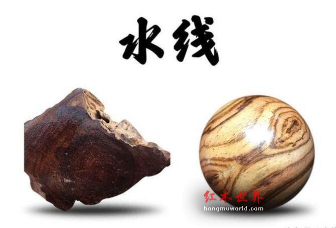 这些海黄名词，你知道几个？-18