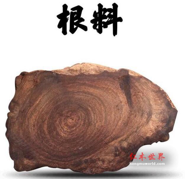 这些海黄名词，你知道几个？-15