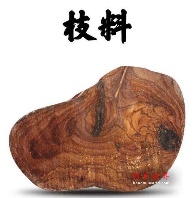 这些海黄名词，你知道几个？-14
