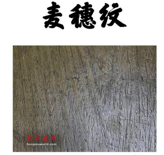 这些海黄名词，你知道几个？-13