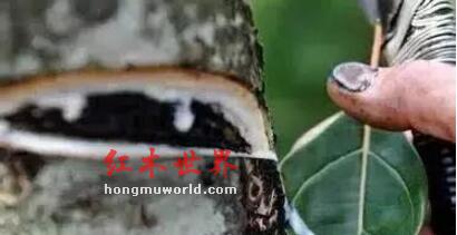 详解红木家具的生漆工艺-3