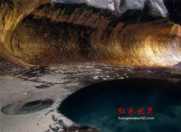 这是一个关于“海黄鬼脸”的美丽爱情故事-4