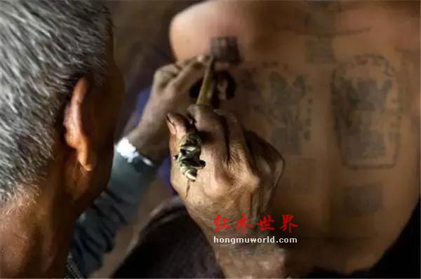 这是一个关于“海黄鬼脸”的美丽爱情故事-5