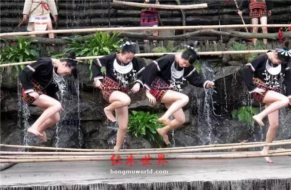 这是一个关于“海黄鬼脸”的美丽爱情故事-8