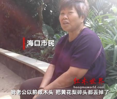 公园两棵黄花梨枯树拍卖出 1428 万 市民：以前都当烧柴-7