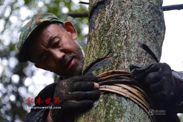 让木材苏醒的美学——生漆工艺-4