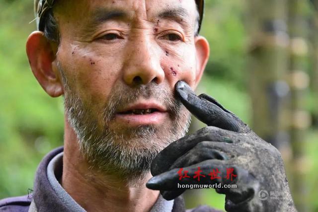 让木材苏醒的美学——生漆工艺-7