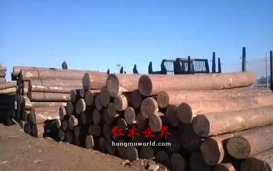 今年家具木材全面沦陷，市场惨淡一片-1
