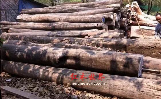 涨知识：红木加工成红木家具的几个步骤！