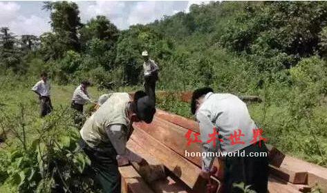 从红木市场现状态出发，你意识到了什么？-1