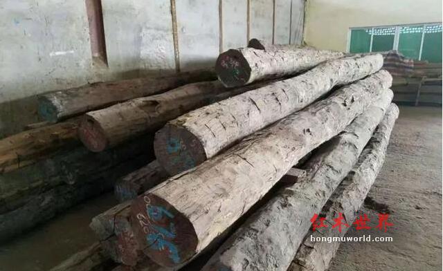从红木市场现状态出发，你意识到了什么？-5
