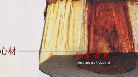 木材中的“白皮”是否适合用在红木家具中？