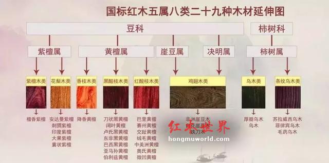 仅供参考|红木木材(家具)排行及价格简介-1