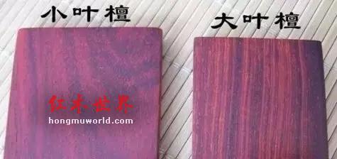 仅供参考|红木木材(家具)排行及价格简介-13