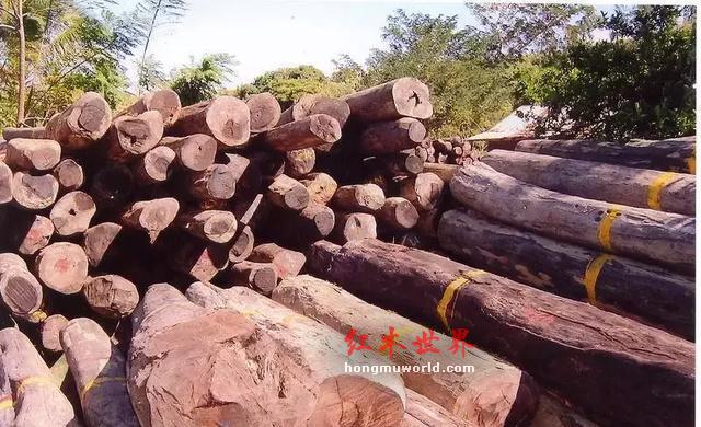 仅供参考|红木木材(家具)排行及价格简介-12