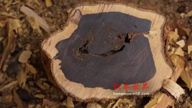 仅供参考|红木木材(家具)排行及价格简介-15