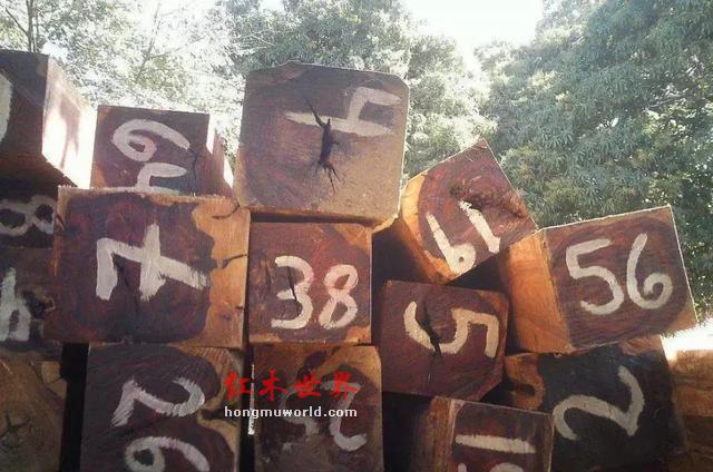 仅供参考|红木木材(家具)排行及价格简介-29