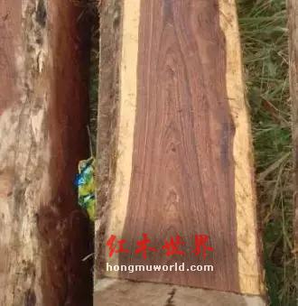 仅供参考|红木木材(家具)排行及价格简介-41