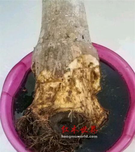 红木家具造假之家具做旧身价翻倍-3