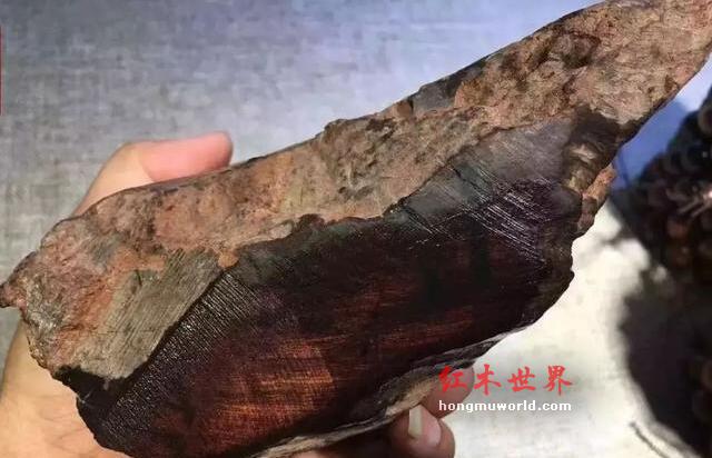 新手初入海黄怎么选？这六招帮你完美搞定！-3