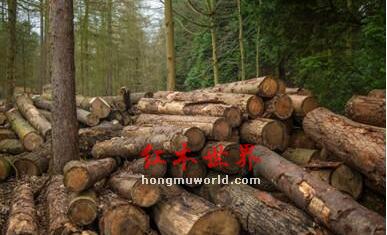 红木如此多娇 引无数“英雄”尽折腰-6