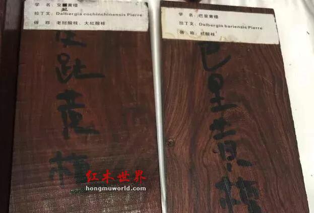 如何识别红酸枝和大红酸枝？红酸枝和大红酸枝有何区别-3